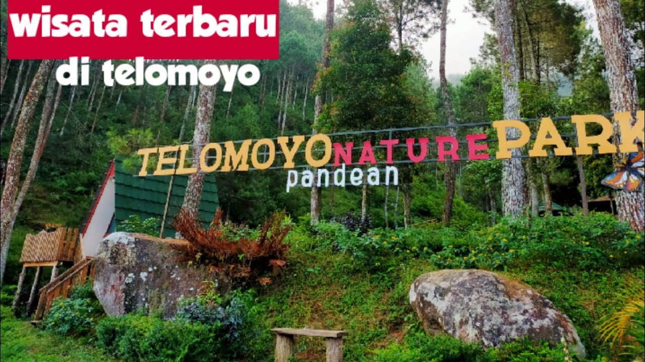 Jelajahi Keindahan Alam yang Tersembunyi di Telomoyo Nature Park